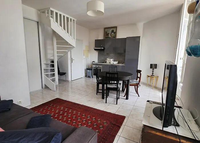 Appartement A Deux Pas De La Promenade Des Anglais